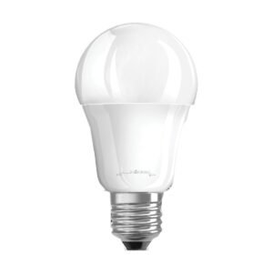 RAFEED Anar LED Bulb